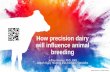 How precision dairy will influence animal breeding · 2019. 7. 10. · Precision Dairy Farming/genomic selection synergies may lead to improvement in health traits But, need enough
