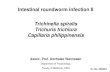 Trichinella spiralis Trichuris trichiura Capillaria philippinensis · 2021. 3. 23. · 1. Can identify and explain morphology and life cycle of Trichinella spiralis, Trichuris trichiura
