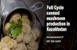 Full Cycle canned mushroom production in Kazakhstan · 2020. 10. 6. · 2. Canned mushroom farming will be an important contributor to the food security and import targets 3. We are