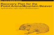 Recovery Plan for the Point Arena Mountain Beaver - FWS · 2008. 9. 16. · POINT ARENA MOUNTAIN BEAVER RECOVERYAplodontia ru/a nigra ... recovery priority number of3 given that it