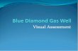 Blue Diamond Gas Well - Bureau of Land Management Blue Diamond Gas... · 2010. 11. 10. · Blue Diamond is a designated National Historic District Proposed site is approximately 200