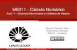 MS211 - Cálculo Numérico - Unicampvalle/Teaching/MS211/Aula11.pdf1.Avaliação da matriz Jacobiana. 2.Resolução de um sistema linear. Logo, o método de Newton é computacionalmente