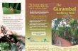 1000 ways to make a difference… - Rapid Creek Landcare ......1000 ways to make a difference… The Rapid Creek Landcare Group, Larrakia people, Darwin Airport staff and contractors,