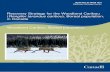 Woodland Caribou (Rangifer tarandus caribou), Boreal Population · 2018. 6. 13. · ii Recommended citation: Environment Canada. 2012. Recovery Strategy for the Woodland Caribou (Rangifer