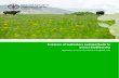 A review of indicators and methods to assess biodiversity - FAO · 2021. 2. 8. · iv A review of indicators and methods to assess biodiversity 4.4.4 Pressure: Competition with large
