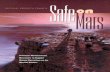 Safe on Mars: Precursor Measurements Necessary to Support Human Operations on the Martian Surface