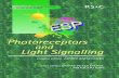 Photoreceptors and light signalling