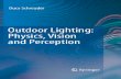 Outdoor Lighting: Physics, Vision and Perception