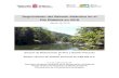 Seguimiento del Salmón Atlántico en el Río Bidasoa en 2018...Seguimiento del Salmón Atlántico en el Río Bidasoa en 2018 –Agosto de 2019– Sección de Restauración de Ríos