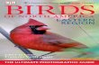 Birds of North America. Eastern Region. The Ultimate Photographic Guide