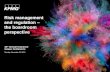 Risk Management & Regulation - the boardroom perspective