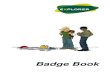 Explorer Scout Badge Requirements