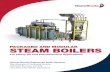 Packaged and Modular SteaM BoilerS - Tundra · 2020. 4. 27. · Cleaver-Brooks Engineered Boiler Systems Manufacturer of Nebraska Boilers, NATCOM Burners, and ERI Heat Recovery Steam