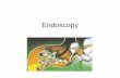 Endoscopy - Pediatric Residency Program » College of Medicine