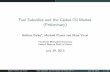 Fuel Subsidies and the Global Oil Market (Preliminary)
