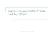 Cypress Programmable System- on-Chip (PSoC)