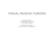 Pineal Region Tumors 2011.ppt
