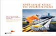 Oil and Gas in Indonesia - PwC: Audit and assurance, consulting