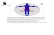 Spinal Nerves and Reflexes - Class Videos for Anatomy and