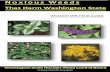 Noxious Weeds - NWCB Home