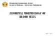 ABNORMAL MORPHOLOGY OF BLOOD CELLS -   - Get a Free