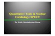 Quantitative Tools in Nuclear Cardiology: SPECT
