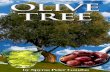 OLIVE TREE LARGE
