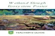 Wetland Slough Ecosystem Poster - Kentucky Department of Fish and