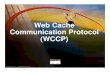 Web Cache Communication Protocol (WCCP)