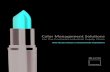 Color Management Solutions - Right on Color: Calibration, Matching