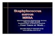 Staphylococcus aureus MRSA - Department of Health & Hospitals