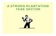 A STRONG PLANTATION TEAK SECTOR - Teaknet