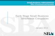 Early Stage Small Business Investment Companies