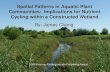 Spatial Patterns in Aquatic Plant Communities: Implications for