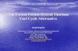 The Fusion Fission Hybrid Thorium Fuel Cycle Alternative