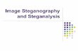 Image Steganography and Steganalysis - NUS - Home
