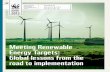 Meeting Renewable Energy Targets: Global Lessons From The Road To