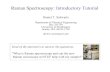 Raman Spectroscopy: Introductory Tutorial - UW Departments Web Server