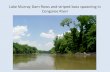 Lake Murray Dam flow recommendations for Congaree River striped