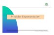 Modular Exponentiation - Centro de Investigaci³n y de Estudios
