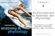 An Introduction to Anatomy and Physiology - Napa Valley College