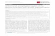 ZBTB33 binds unmethylated regions of the genome associated with