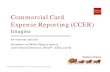 Commercial Card Expense Reporting (CCER) - Imagine! - Innovative