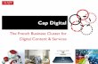 The French Business Cluster for Digital Content & Services