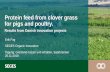 Protein feed from clover grass for pigs and poultry. feed from... · 2019. 4. 26. · Brug knapperne ‘Forøge / Formindske indryk’ for at skifte mellem de forskellige tekst niveauer