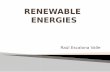 RENEWABLE ENERGIES · 2019. 2. 11. · Fuente: Junta de Extremadwa y Red Eléctrica de España En la siguiente imagen se muestra la distribución de potencia instalada solar fotovoltaica