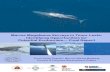 Marine Megafauna Surveys for Ecotourism Potential · 2017. 5. 23. · megafauna biology and conservation. Capacity building for community-based whale- and dolphin-watching ventures