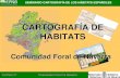 CARTOGRAFÍA DE HÁBITATS...Red Natura 2000 para cubrir las zonas que quedaron sin cartografía en la ampliáción y redelimitación de los espacios de la RN2000. • Actualización