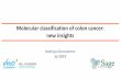 Molecular classification of colon cancer: new insights · Molecular classification of colon cancer: new insights Rodrigo Dienstmann Jul 2019. Disclosures Advisory role: Roche Boehringer-Ingelheim