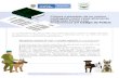 Infografía razas altamente peligrosas · 2021. 6. 18. · Napolitano, Bull Terrier, Pit Bull Terrier, American Pit Bull Terrier, de presa canario, Rottweiler, Staffordshire Terrier,